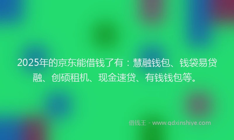 2025年的京东能借钱了有：慧融钱包、钱袋易贷融、创硕租机、现金速贷、有钱钱包等。
