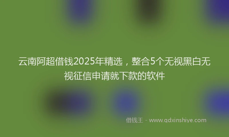 云南阿超借钱2025年精选，整合5个无视黑白无视征信申请就下款的软件