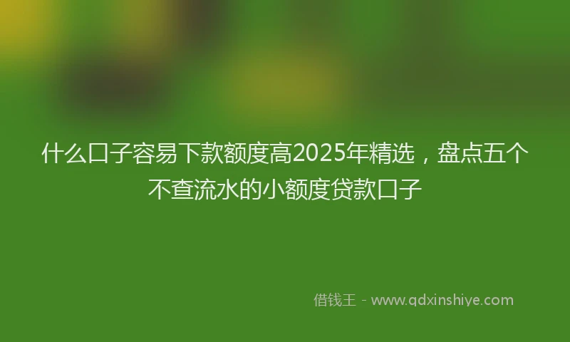 什么口子容易下款额度高2025年精选，盘点五个不查流水的小额度贷款口子
