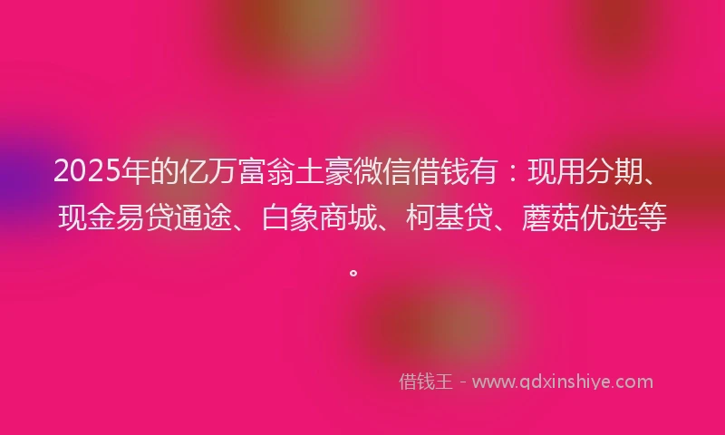 2025年的亿万富翁土豪微信借钱有：现用分期、现金易贷通途、白象商城、柯基贷、蘑菇优选等。