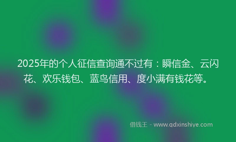 2025年的个人征信查询通不过有：瞬信金、云闪花、欢乐钱包、蓝鸟信用、度小满有钱花等。