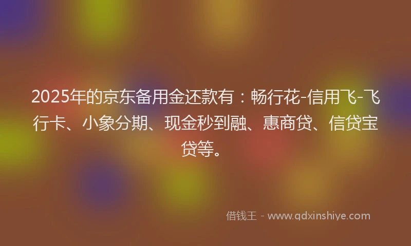 2025年的京东备用金还款有：畅行花-信用飞-飞行卡、小象分期、现金秒到融、惠商贷、信贷宝贷等。