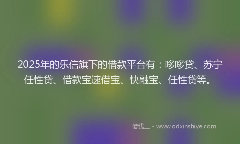 2025年的乐信旗下的借款平台有：哆哆贷、苏宁任性贷、借款宝速借宝、快融宝、任性贷等。