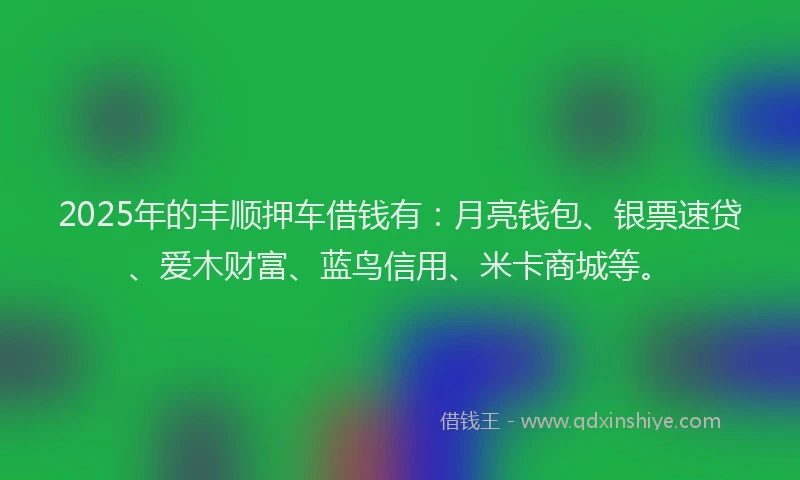 2025年的丰顺押车借钱有：月亮钱包、银票速贷、爱木财富、蓝鸟信用、米卡商城等。