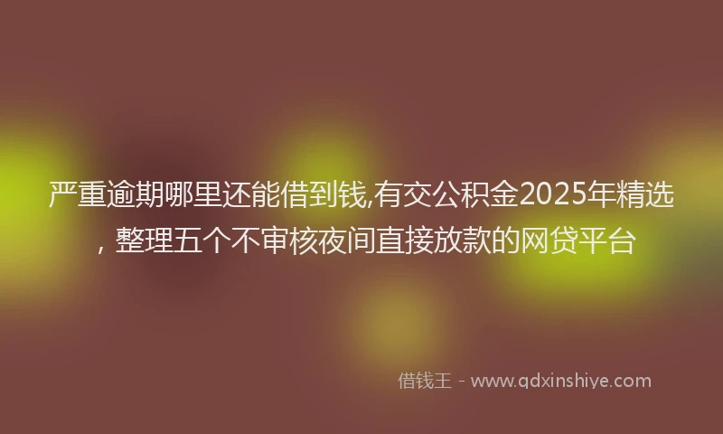 严重逾期哪里还能借到钱,有交公积金2025年精选，整理五个不审核夜间直接放款的网贷平台