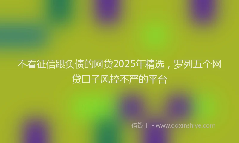 不看征信跟负债的网贷2025年精选，罗列五个网贷口子风控不严的平台