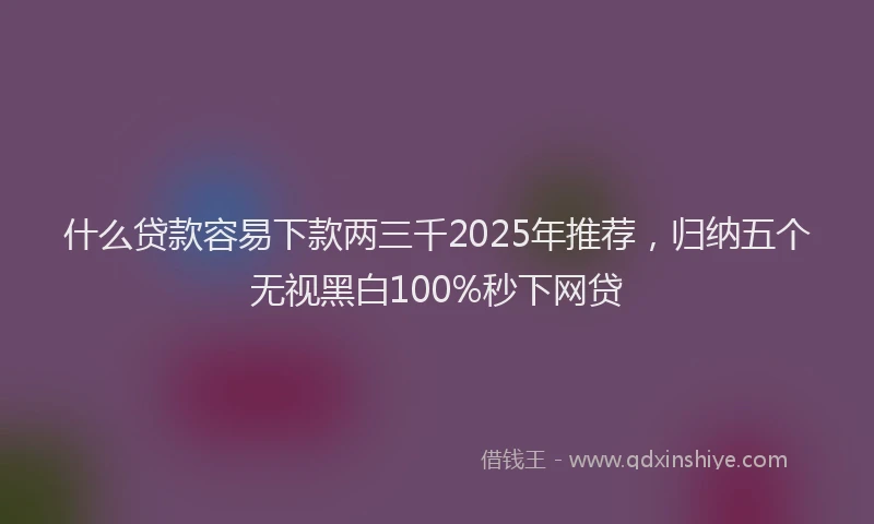 什么贷款容易下款两三千2025年推荐，归纳五个无视黑白100%秒下网贷