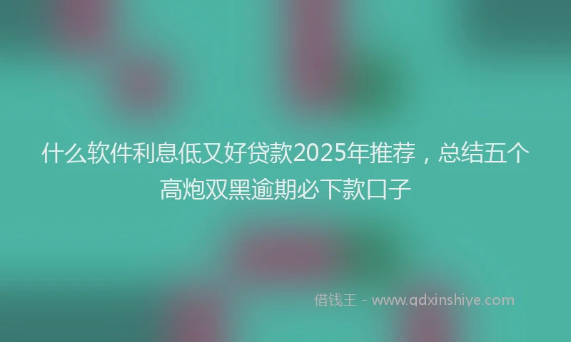 什么软件利息低又好贷款2025年推荐，总结五个高炮双黑逾期必下款口子