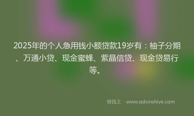2025年的个人急用钱小额贷款19岁有：柚子分期、万通小贷、现金蜜蜂、紫晶信贷、现金贷易行等。
