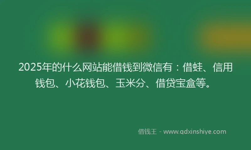 2025年的什么网站能借钱到微信有：借蛙、信用钱包、小花钱包、玉米分、借贷宝盒等。