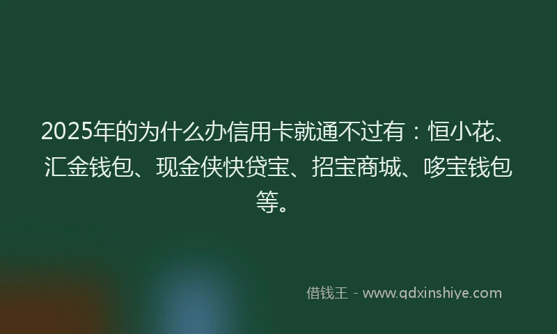 2025年的为什么办信用卡就通不过有：恒小花、汇金钱包、现金侠快贷宝、招宝商城、哆宝钱包等。