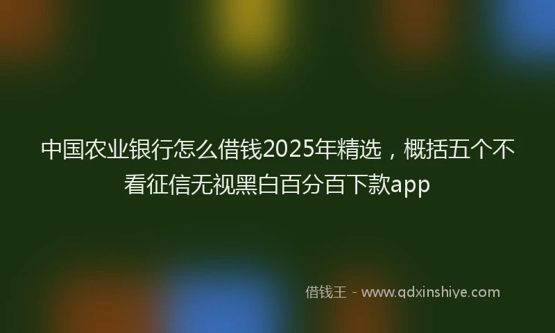 中国农业银行怎么借钱2025年精选，概括五个不看征信无视黑白百分百下款app