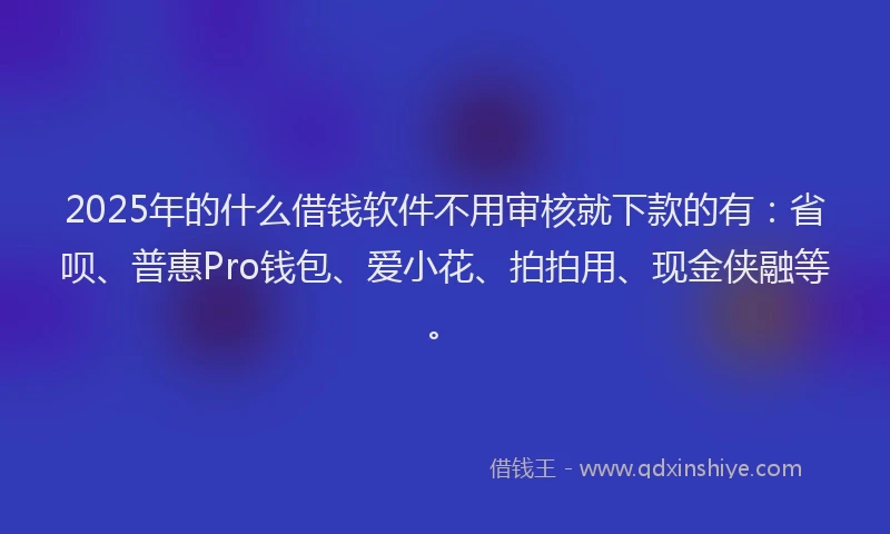2025年的什么借钱软件不用审核就下款的有：省呗、普惠Pro钱包、爱小花、拍拍用、现金侠融等。