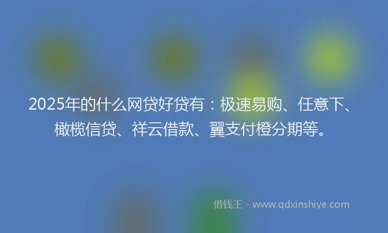 2025年的什么网贷好贷有：极速易购、任意下、橄榄信贷、祥云借款、翼支付橙分期等。