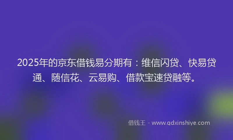 2025年的京东借钱易分期有：维信闪贷、快易贷通、随信花、云易购、借款宝速贷融等。
