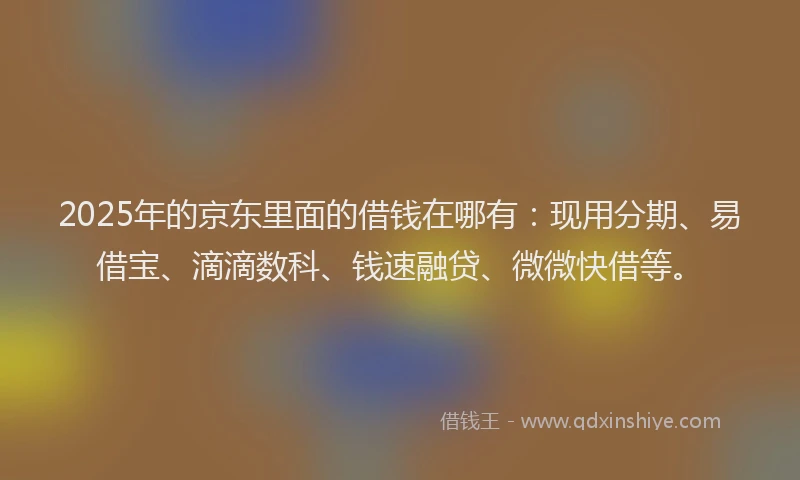 2025年的京东里面的借钱在哪有：现用分期、易借宝、滴滴数科、钱速融贷、微微快借等。