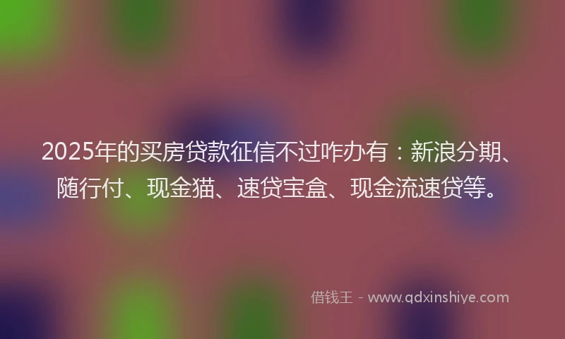 2025年的买房贷款征信不过咋办有：新浪分期、随行付、现金猫、速贷宝盒、现金流速贷等。
