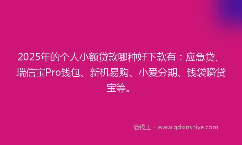 2025年的个人小额贷款哪种好下款有：应急贷、瑞信宝Pro钱包、新机易购、小爱分期、钱袋瞬贷宝等。