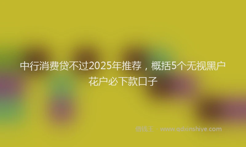 中行消费贷不过2025年推荐，概括5个无视黑户花户必下款口子