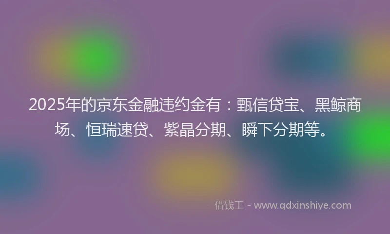 2025年的京东金融违约金有：甄信贷宝、黑鲸商场、恒瑞速贷、紫晶分期、瞬下分期等。