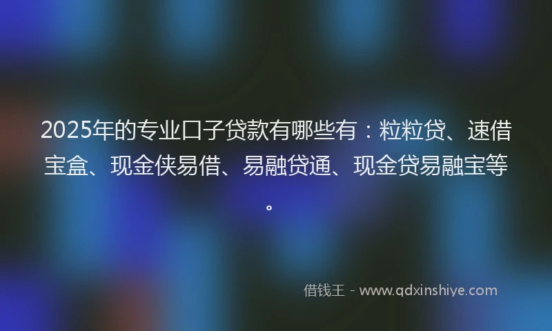2025年的专业口子贷款有哪些有：粒粒贷、速借宝盒、现金侠易借、易融贷通、现金贷易融宝等。