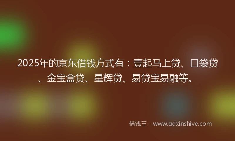 2025年的京东借钱方式有：壹起马上贷、口袋贷、金宝盒贷、星辉贷、易贷宝易融等。