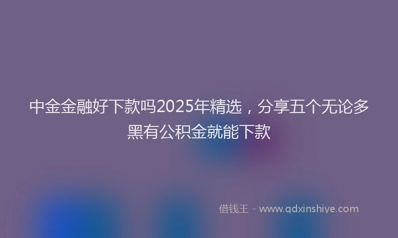 中金金融好下款吗2025年精选，分享五个无论多黑有公积金就能下款