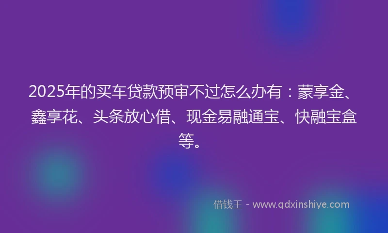 2025年的买车贷款预审不过怎么办有：蒙享金、鑫享花、头条放心借、现金易融通宝、快融宝盒等。