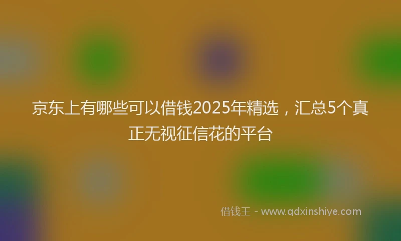 京东上有哪些可以借钱2025年精选，汇总5个真正无视征信花的平台