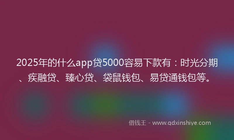 2025年的什么app贷5000容易下款有：时光分期、疾融贷、臻心贷、袋鼠钱包、易贷通钱包等。