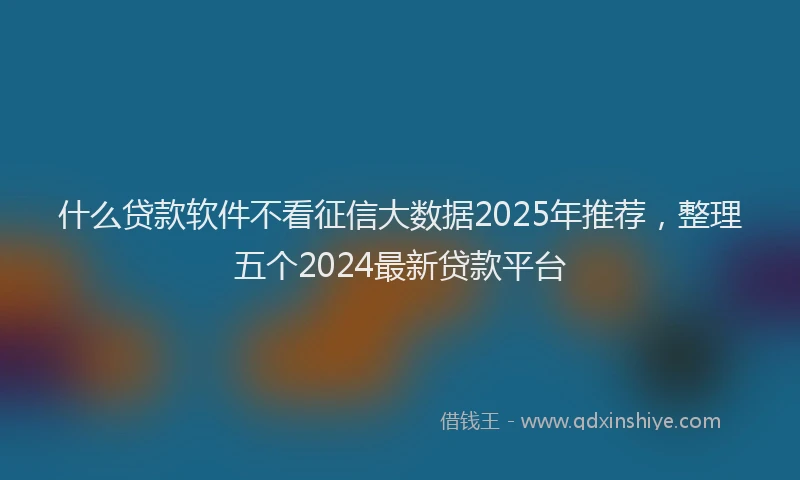 什么贷款软件不看征信大数据2025年推荐，整理五个2024最新贷款平台