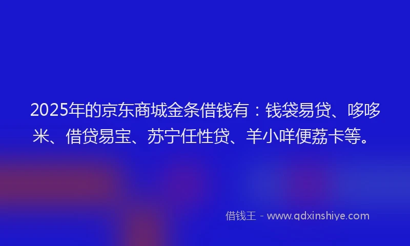 2025年的京东商城金条借钱有：钱袋易贷、哆哆米、借贷易宝、苏宁任性贷、羊小咩便荔卡等。