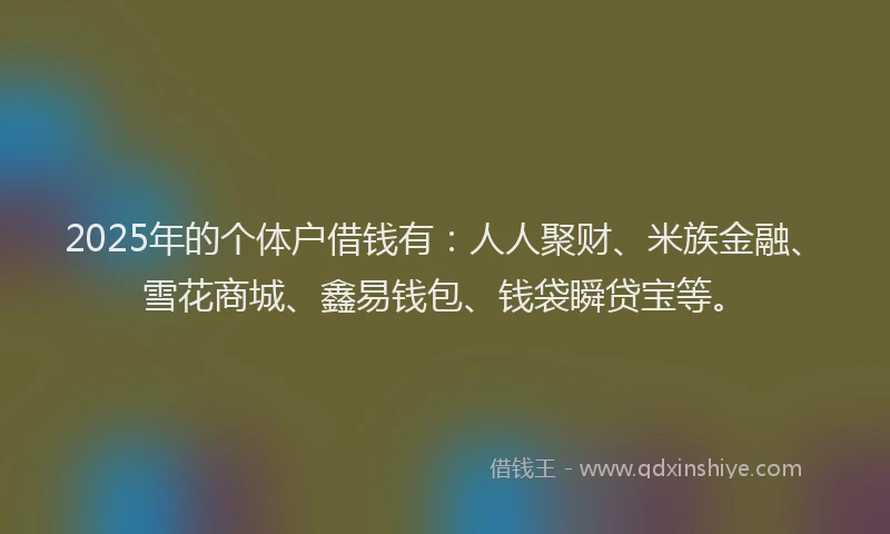2025年的个体户借钱有：人人聚财、米族金融、雪花商城、鑫易钱包、钱袋瞬贷宝等。