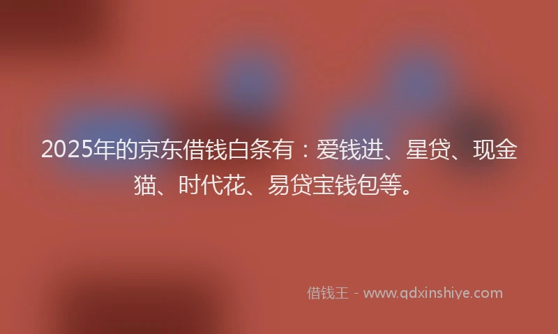2025年的京东借钱白条有：爱钱进、星贷、现金猫、时代花、易贷宝钱包等。