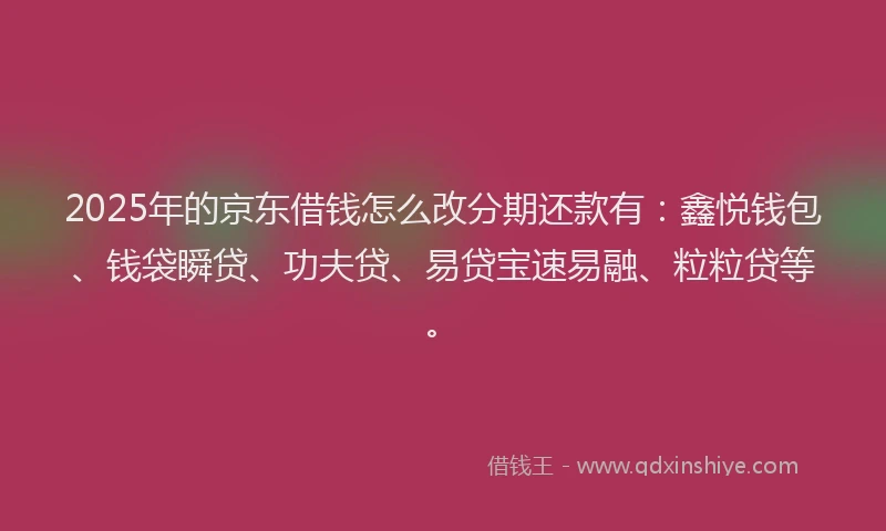 2025年的京东借钱怎么改分期还款有：鑫悦钱包、钱袋瞬贷、功夫贷、易贷宝速易融、粒粒贷等。