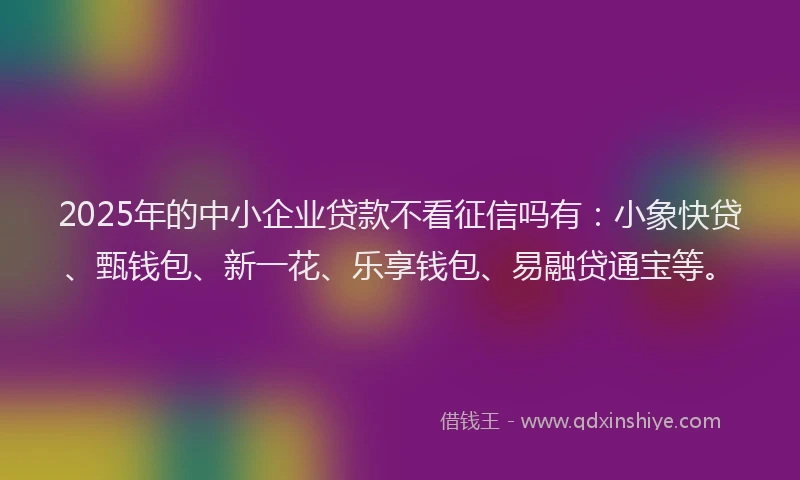 2025年的中小企业贷款不看征信吗有：小象快贷、甄钱包、新一花、乐享钱包、易融贷通宝等。