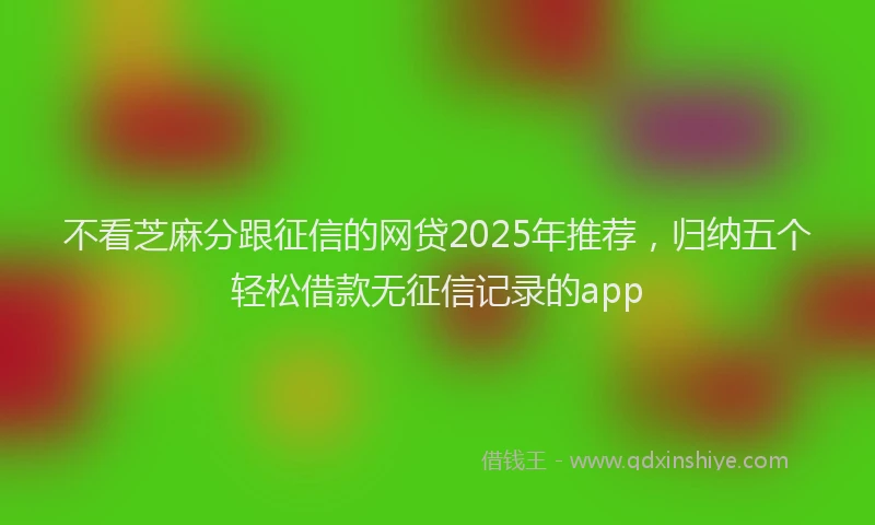 不看芝麻分跟征信的网贷2025年推荐，归纳五个轻松借款无征信记录的app