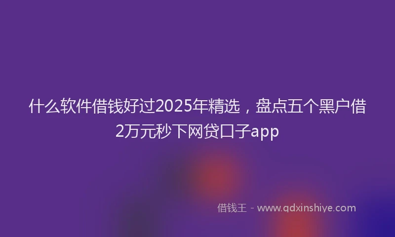 什么软件借钱好过2025年精选，盘点五个黑户借2万元秒下网贷口子app