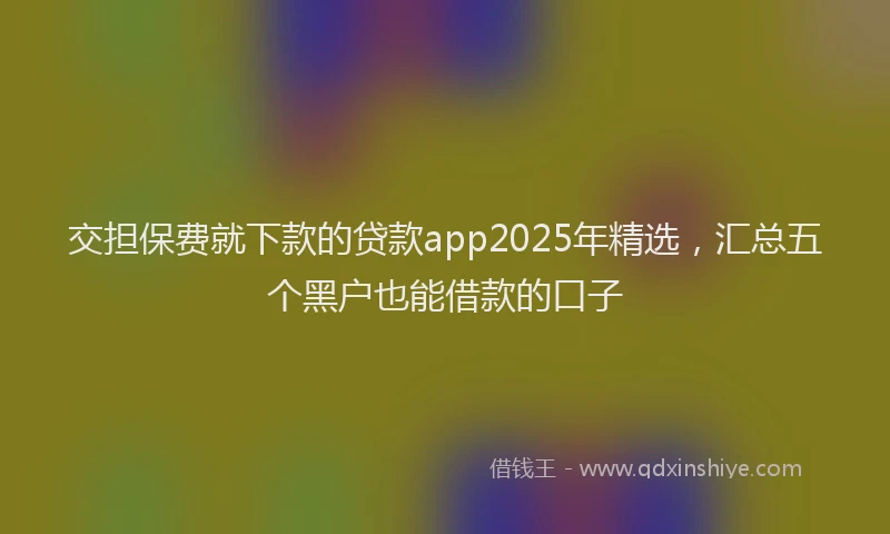 交担保费就下款的贷款app2025年精选，汇总五个黑户也能借款的口子