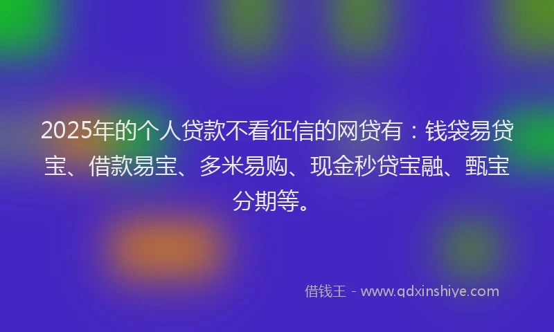 2025年的个人贷款不看征信的网贷有：钱袋易贷宝、借款易宝、多米易购、现金秒贷宝融、甄宝分期等。