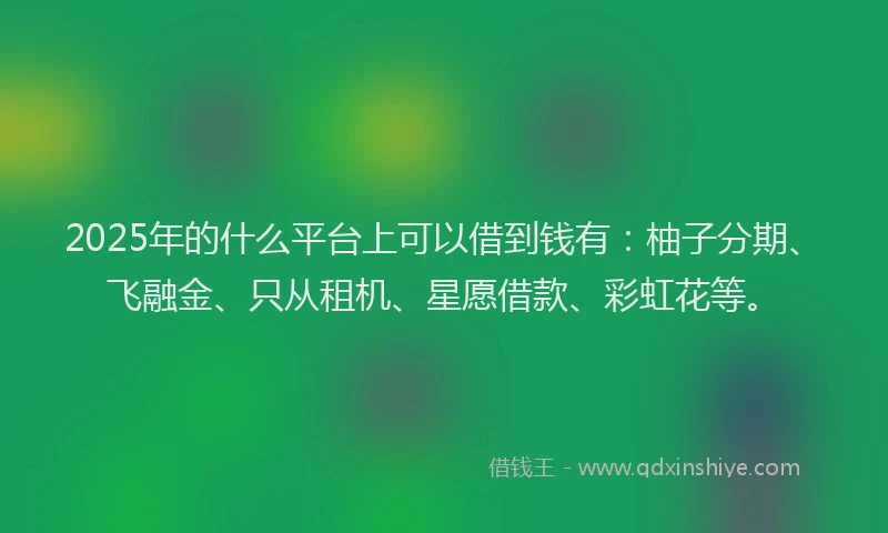 2025年的什么平台上可以借到钱有：柚子分期、飞融金、只从租机、星愿借款、彩虹花等。