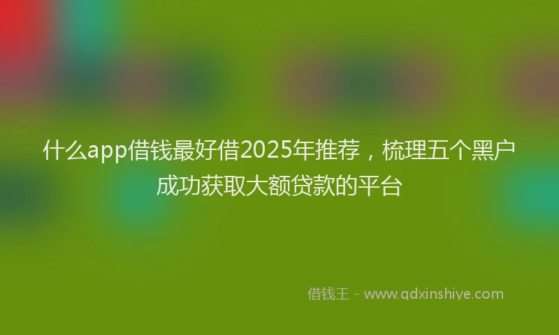 什么app借钱最好借2025年推荐，梳理五个黑户成功获取大额贷款的平台