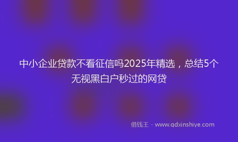 中小企业贷款不看征信吗2025年精选，总结5个无视黑白户秒过的网贷