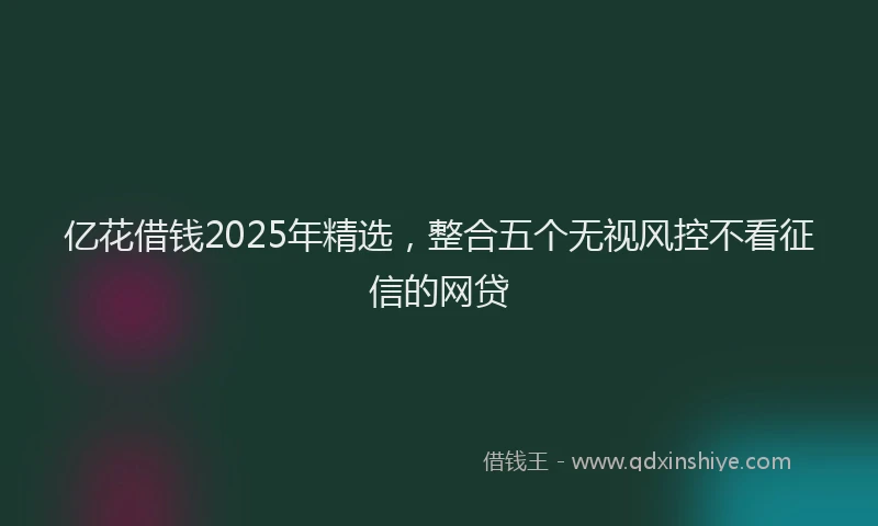 亿花借钱2025年精选，整合五个无视风控不看征信的网贷