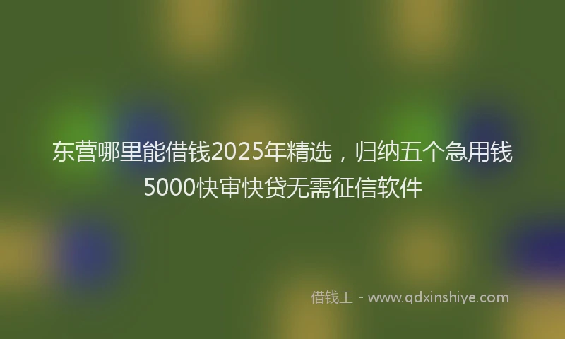 东营哪里能借钱2025年精选，归纳五个急用钱5000快审快贷无需征信软件