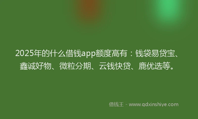 2025年的什么借钱app额度高有：钱袋易贷宝、鑫诚好物、微粒分期、云钱快贷、鹿优选等。