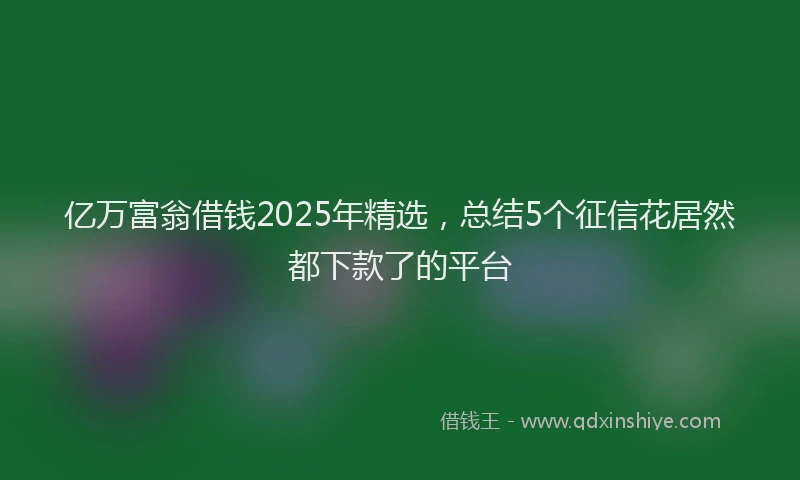 亿万富翁借钱2025年精选，总结5个征信花居然都下款了的平台