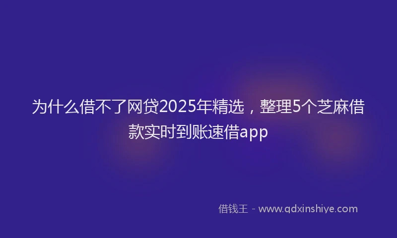 为什么借不了网贷2025年精选，整理5个芝麻借款实时到账速借app
