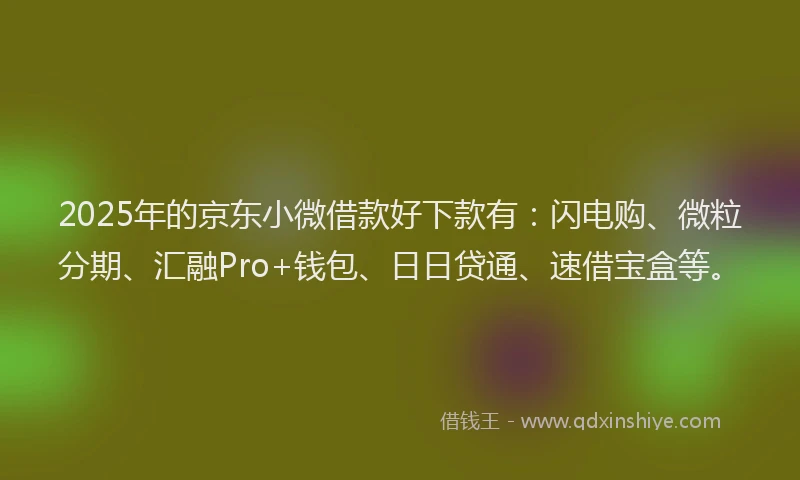 2025年的京东小微借款好下款有：闪电购、微粒分期、汇融Pro+钱包、日日贷通、速借宝盒等。