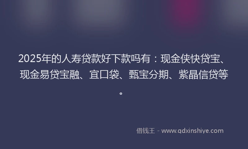 2025年的人寿贷款好下款吗有：现金侠快贷宝、现金易贷宝融、宜口袋、甄宝分期、紫晶信贷等。